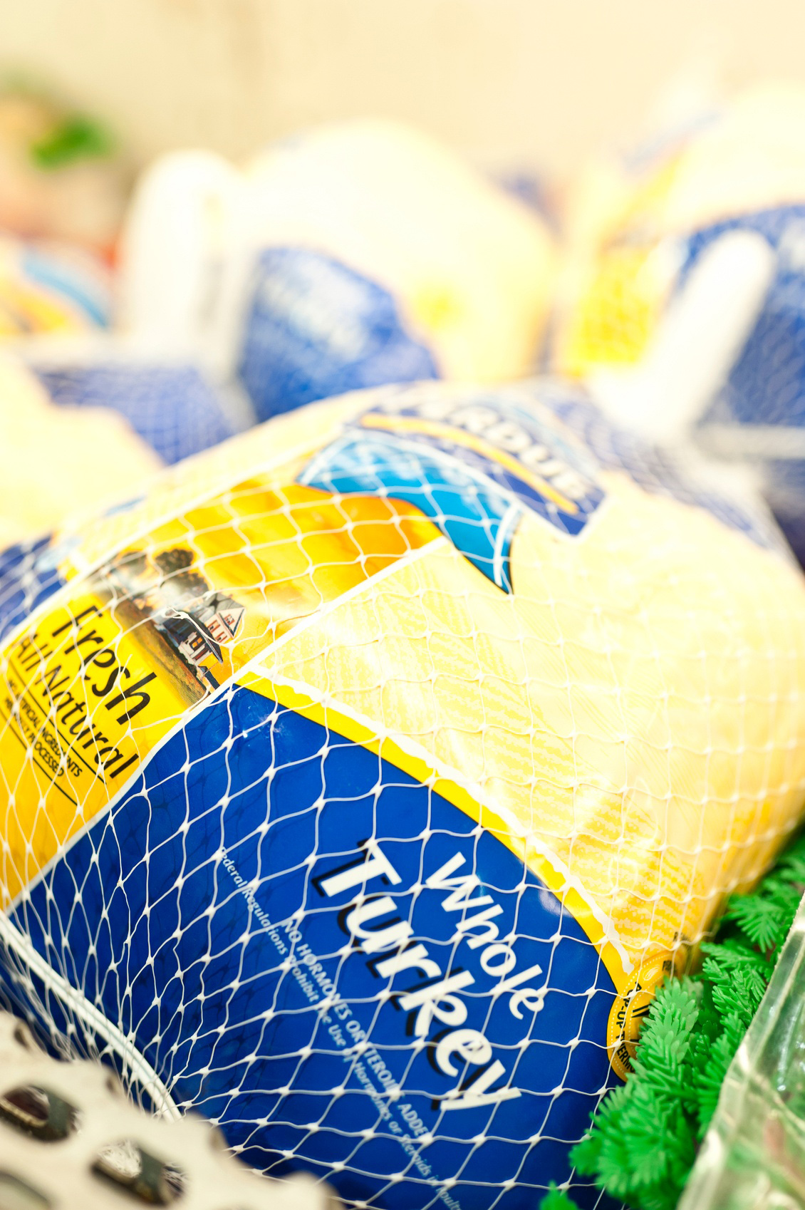 Vacuum Turkey Packaging Thanksgiving Edition Pfannenberg USA